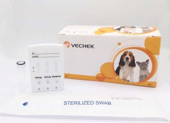 Kit Uji Anjing OEM CPV CCV Giardia Lamblia Diagnostik Cepat Antigen